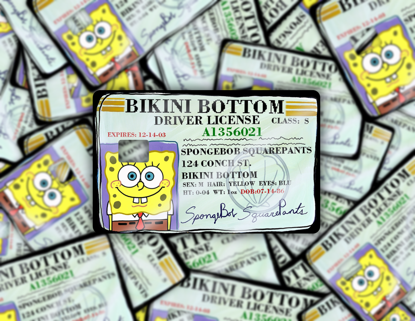 Spongebob License Credit Card Skin